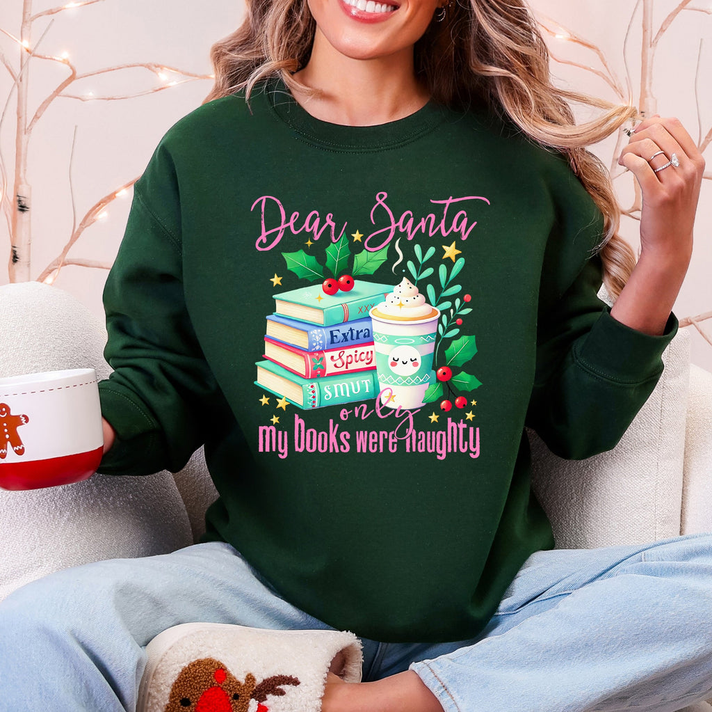 Dear Santa, My Books Were Naughty Christmas Sweatshirt